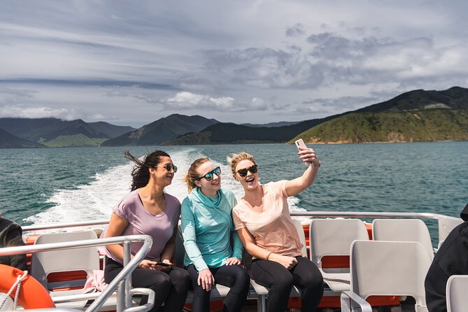 Pelorus Mail Boat Sunday Scenic Cruise – Full-Day from Havelock - Timing, weather, and practical planning