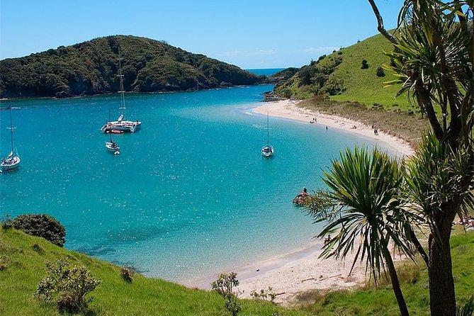 Phantom Sailing Bay of Islands - The afternoon sail back to Russell