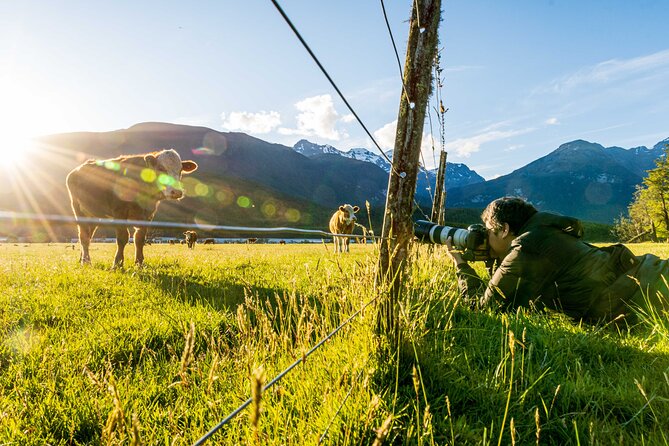 Photography Tour from Queenstown to Glenorchy - 1/2 Day - What the private format is really worth