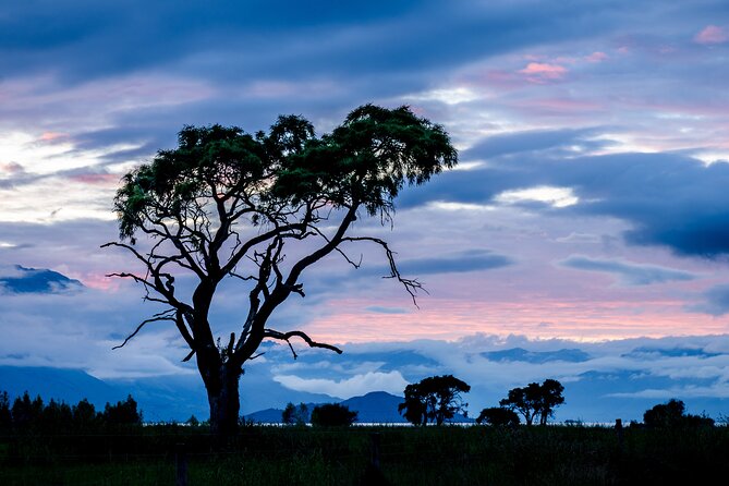 Photography Tour from Queenstown to Glenorchy - 1/2 Day - Who should book this Queenstown photography tour
