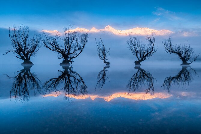 Photography Tour from Queenstown to Glenorchy - 1/2 Day - Practical details that affect your day