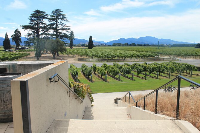 Picton & Blenheim Scenic Tour - Why the small group makes a difference