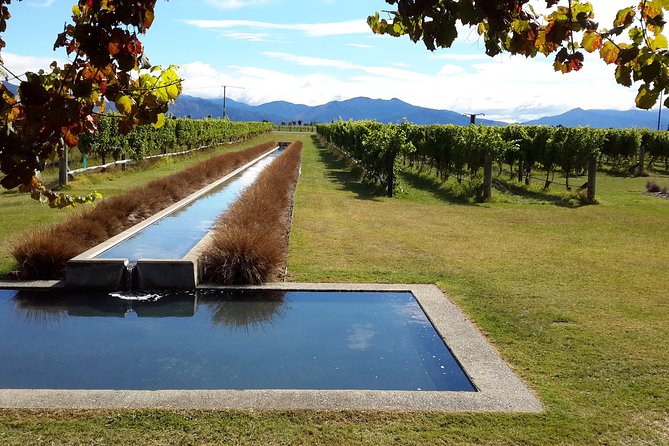 Picton Cruise Ship Shore Excursion Marlborough Wine Tour - Is $155.14 good value?