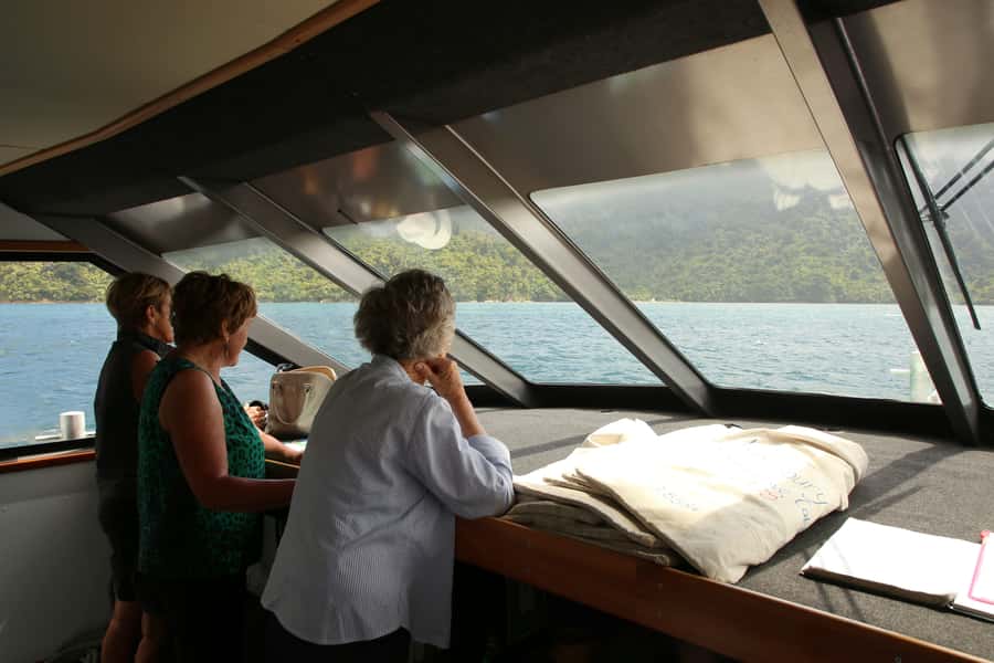 Picton Shore Excursion: Queen Charlotte Sounds Cruise - Wildlife from the boat