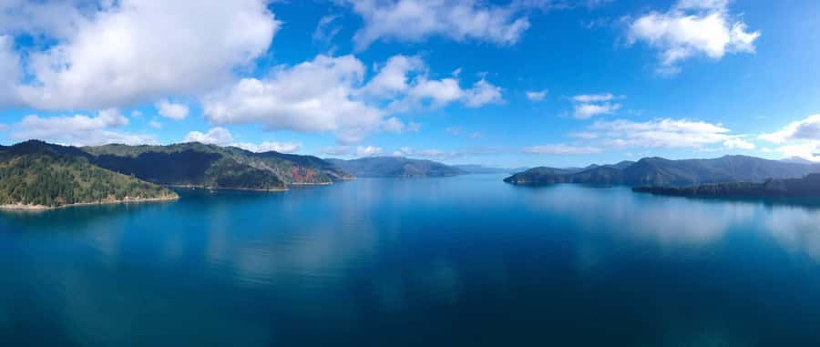 Picton Shore Excursion: Queen Charlotte Sounds Cruise - Beachcomber Cruises and the local feel