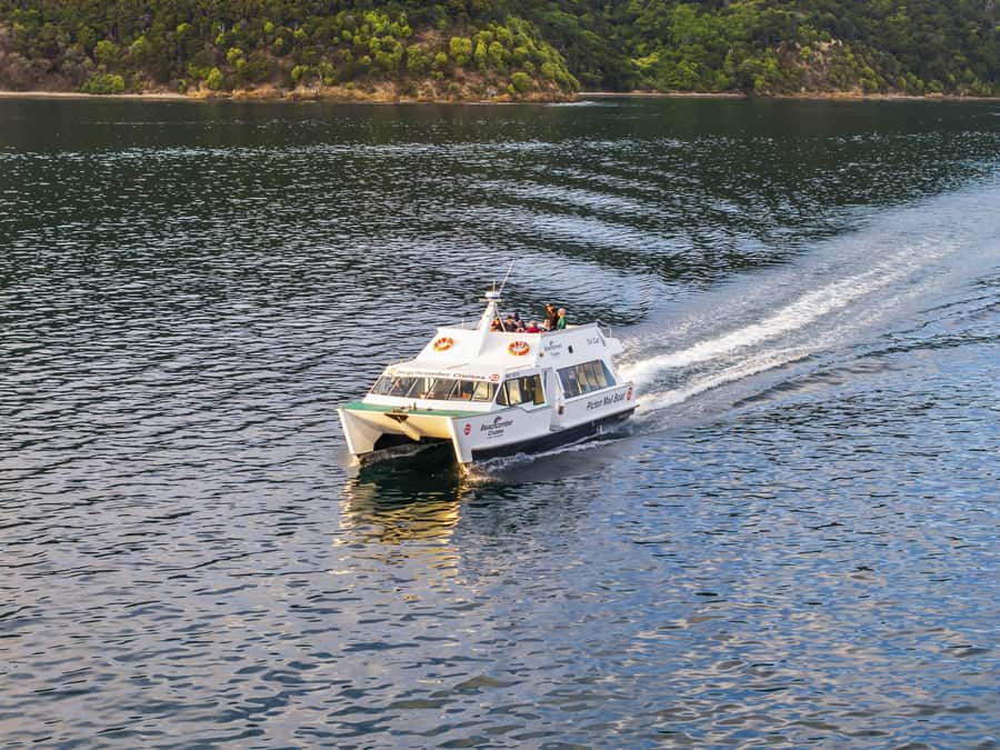 Picton Shore Excursion: Queen Charlotte Sounds Cruise - What you see along the bays