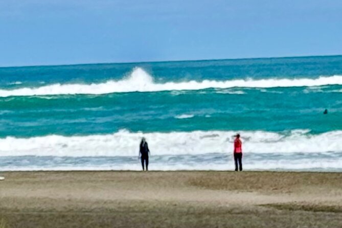 Piha Beach - Who will enjoy this Piha outing most