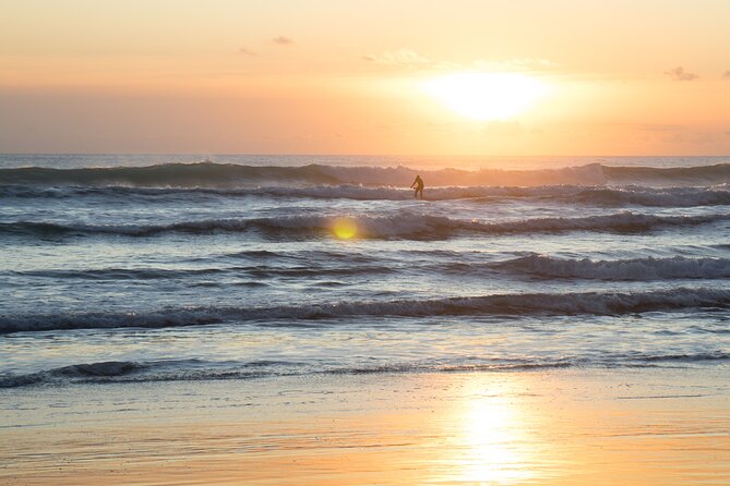 Piha Beach & Wilderness Nature : PRIVATE TOUR 8 hrs - Mission Bay adds a gentler coastal pause