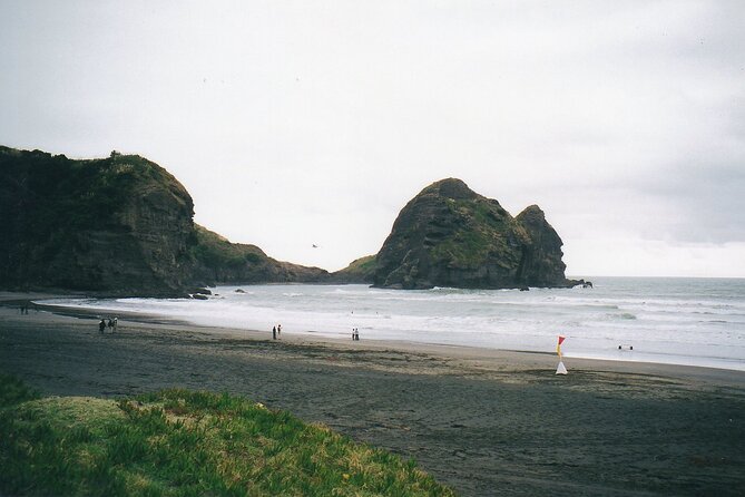 Piha Beach & Wilderness Nature : PRIVATE TOUR 8 hrs - The drive to Piha is part of the experience