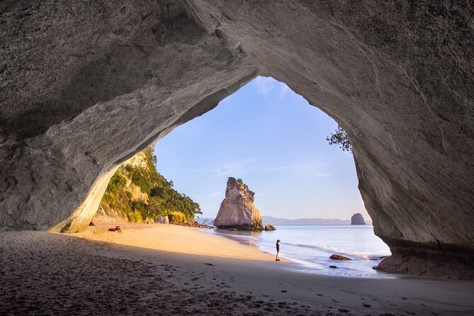 Piha Beach & Wilderness Nature : PRIVATE TOUR 8 hrs - A private guide changes the pace and feel