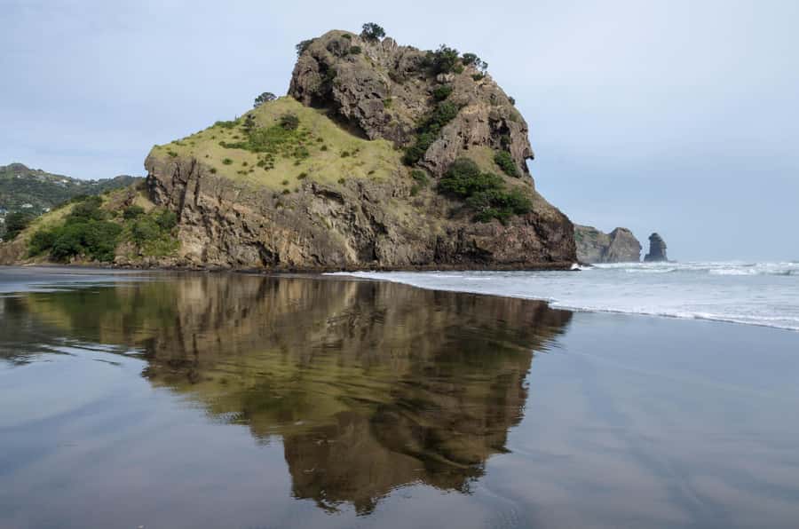 Piha Beach & Wilderness Private Tour: Auckland Half Day Trip - Key points to know before booking