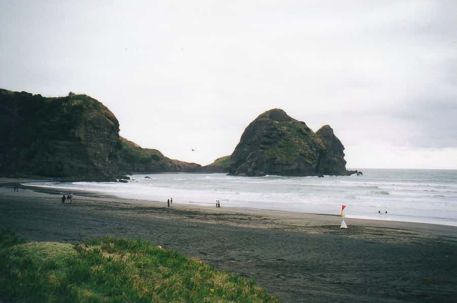 Piha Beach & Wilderness Private Tour: Auckland Half Day Trip - Arataki Visitor Centre gives the day a proper start