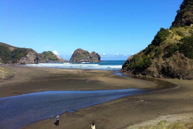 Piha Waitakere Rainforest Wine Tour from Auckland - Why this makes a good Auckland day trip
