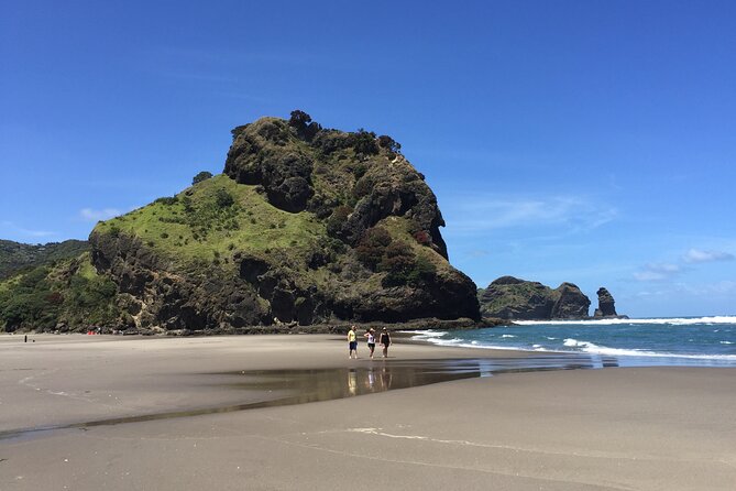 Piha Waitakere Rainforest Wine Tour from Auckland - Soljans Estate: lunch with Auckland wine
