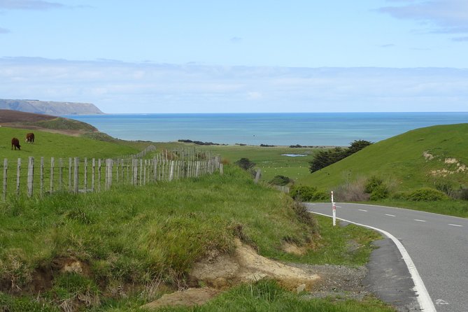 "Pinot to Palliser tour" - Guided tour to Cape Palliser vith lunch + winetasting - The road to Ngawi sets the tone