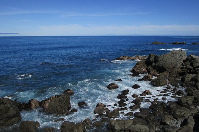 "Pinot to Palliser tour" - Guided tour to Cape Palliser vith lunch + winetasting - Lunch brings the day back to earth