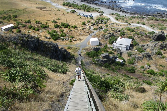 "Pinot to Palliser tour" - Guided tour to Cape Palliser vith lunch + winetasting - A tea stop at the Lake Ferry Hotel