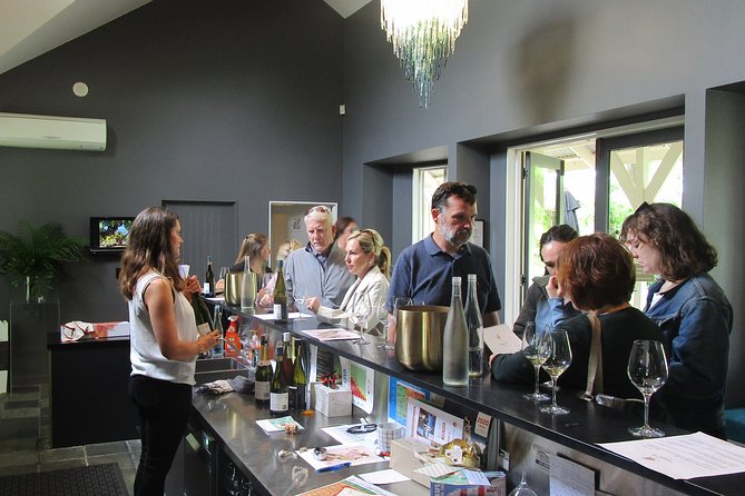 "Pinot to Palliser tour" - Guided tour to Cape Palliser vith lunch + winetasting - Wine tasting closes the loop in Martinborough