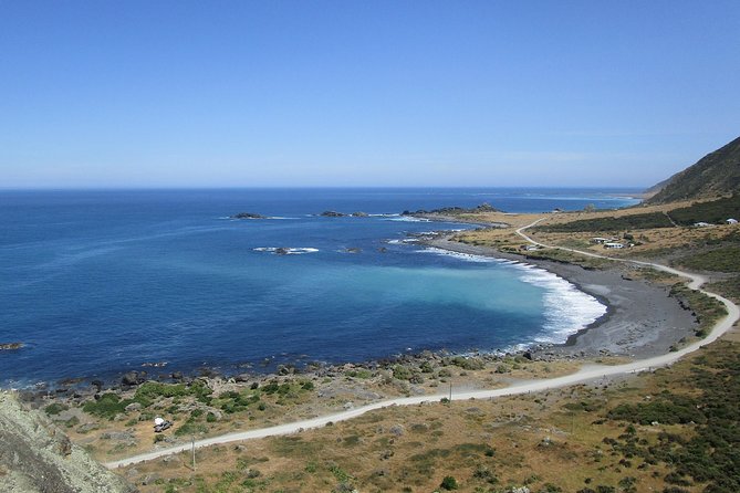 "Pinot to Palliser tour" - Guided tour to Cape Palliser vith lunch + winetasting - Why the private format matters