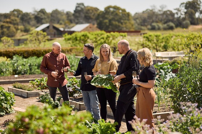 "Pinot to Palliser tour" - Guided tour to Cape Palliser vith lunch + winetasting - How the value compares with a simple winery tour