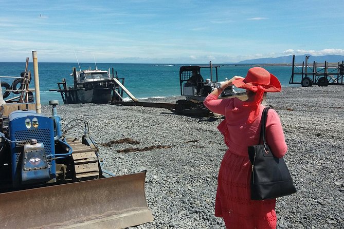 "Pinot to Palliser tour" - Guided tour to Cape Palliser vith lunch + winetasting - Seals, cliffs, and the long climb to the lighthouse