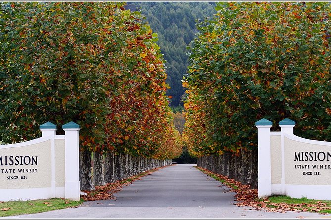 Premium 4 -Best Wineries Napier Hawke's Bay Tour, 5.5h - 6Hours - What a typical tasting session feels like