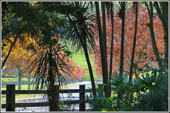 Premium 4 -Best Wineries Napier Hawke's Bay Tour, 5.5h - 6Hours - Why the $114.81 price can make sense