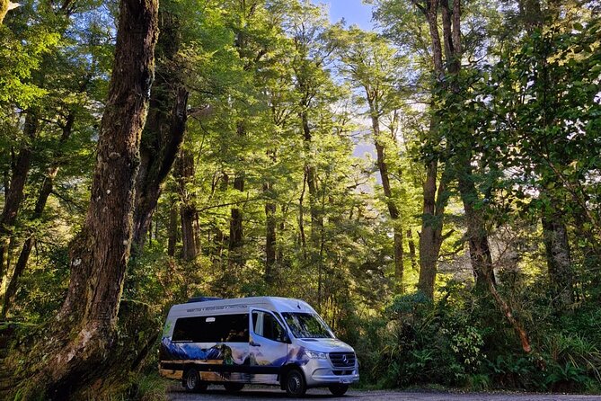 Premium Milford Sound Small Group Tour & Cruise from Queenstown - Mirror Lakes, Lake Gunn, and the Milford Road