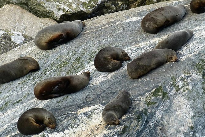 Premium Milford Sound Small Group Tour & Cruise from Queenstown - Two hours on Milford Sound with Mitre Peak overhead