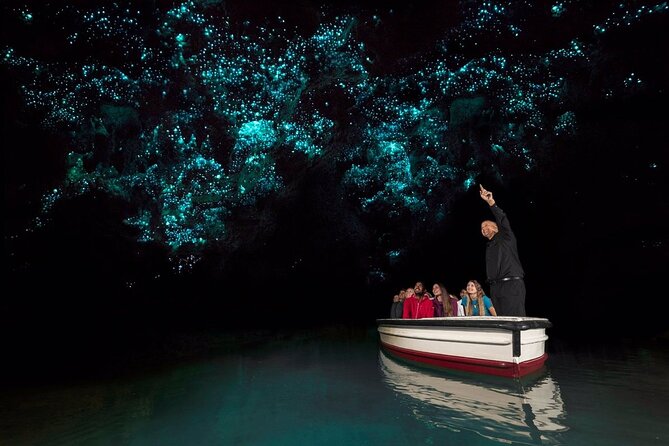 Private 2 Day Tour: Hobbiton, Waitomo, Rotorua Geothermal & Hamilton Gardens - Who will get the most from this tour?
