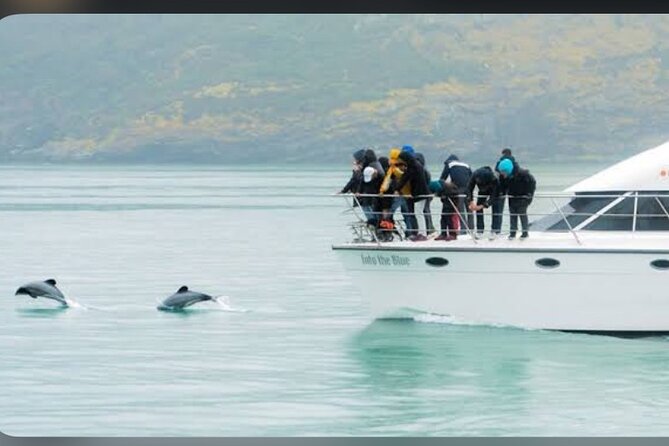 Private Akaroa Day Tour From Christchurch - What the private vehicle adds