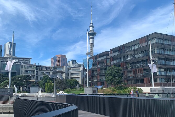 Private Auckland City Tour Including Auckland Tour House Visit - Why this Auckland tour works well in four hours