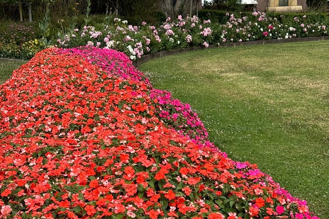 Private Auckland City Tour Including Auckland Tour House Visit - Parnell Rose Gardens adds color and a slower pause