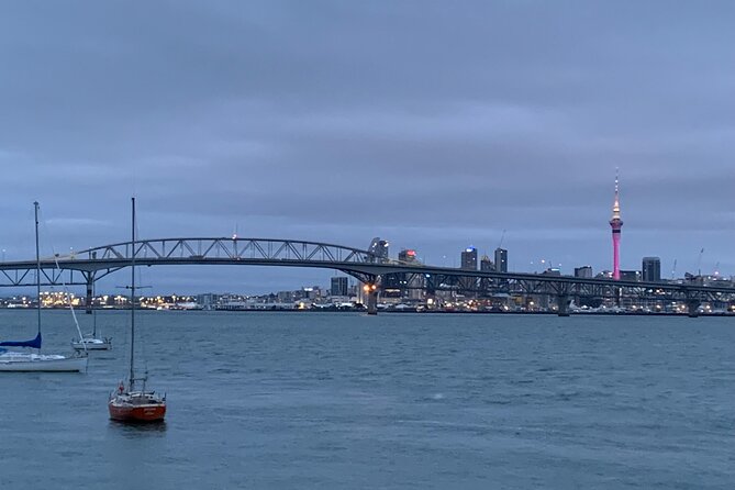 Private Auckland City Tour Including Auckland Tour House Visit - Mount Victoria is the tour’s big viewpoint