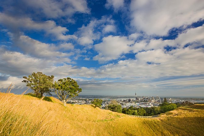 Private Auckland Half Day Tour - From the Hauraki Gulf to Auckland’s volcanic setting