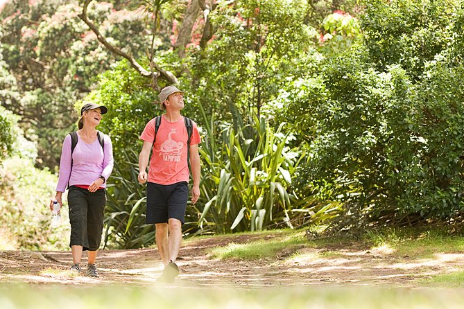 Private Auckland Luxury Tour - Karekare Falls and a Short Forest Walk