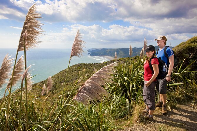 Private Auckland Luxury Tour - Mount Eden and the View Across Auckland
