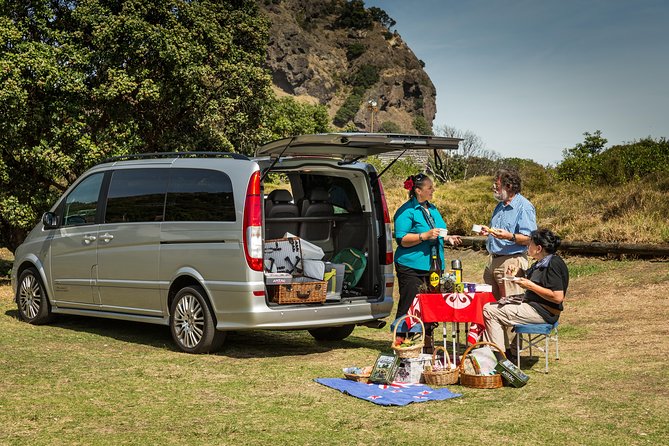 Private Auckland Maori Luxury Tour - West Coast scenery in the Waitakere Ranges