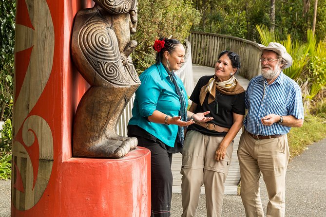 Private Auckland Maori Luxury Tour - Maori culture explained by a personal guide