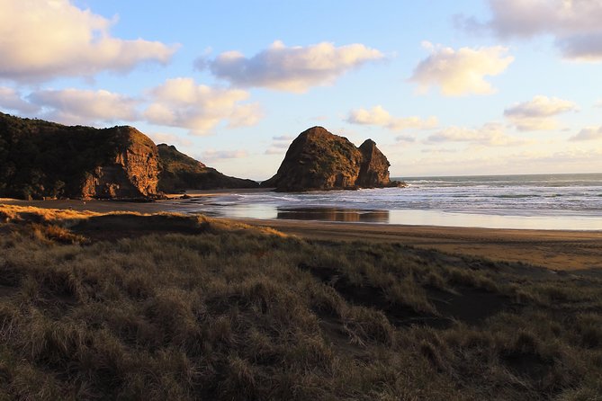 Private Auckland's West Coast - Piha/ Muriwai - Wild West Tour - Why Auckland’s west coast is worth the drive
