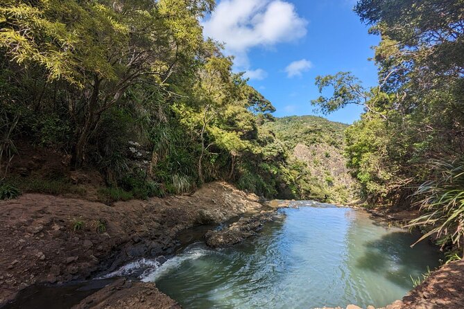 Private Auckland Sightseeing - Full Day/Half Day Hidden Gems Tour - City sights, neighbourhoods, and indoor choices