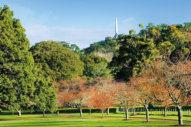 Private Auckland Sightseeing - Full Day/Half Day Hidden Gems Tour - Volcanic Auckland from Mount Eden to One Tree Hill
