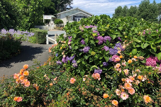 Private Auckland Wine & Dine Matakana Country & Cuisine - A guide who can make the day personal