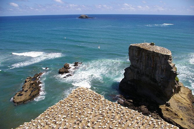 Private Auckland Wine & Dine Matakana Country & Cuisine - Who gets the best value from this tour