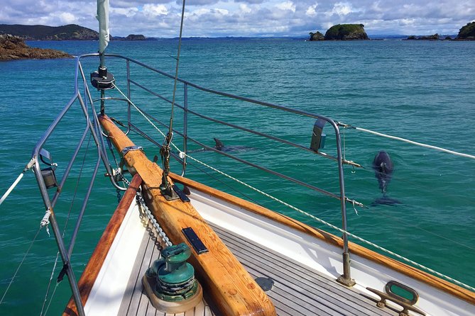 Private Charter Bay of Islands - Why a private yacht changes the Bay of Islands day