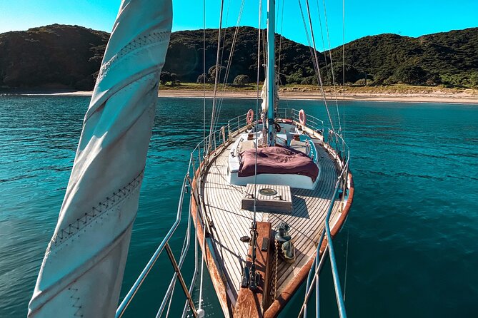 Private Charter Bay of Islands - The island stop and the front-side hike