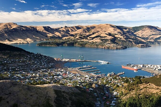Private Christchurch City Highlight Half Day Tour - The Cardboard Cathedral and Christchurch’s changing center