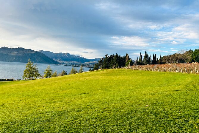 Private Driver Hire – Full-Day Touring-Auckland/Rotorua/Hamilton - A private road day instead of a fixed tour