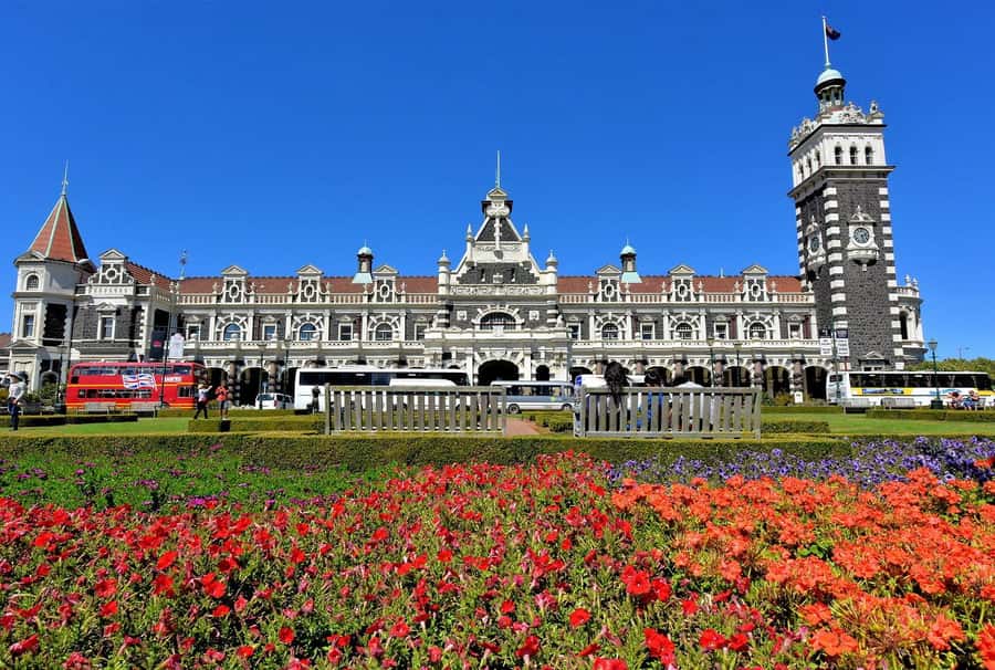 Private Dunedin City Highlights and Otago Peninsula Day Tour - Dunedin Railway Station deserves real attention