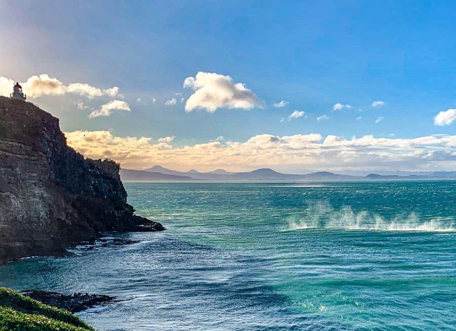 Private Dunedin City Highlights and Otago Peninsula Day Tour - Larnach Castle: the day’s main interior visit